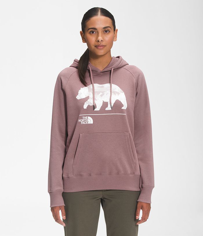 The North Face Hoodie Dames Bearscape 2.0 Pullover AWTF80147 - Lichtpaars